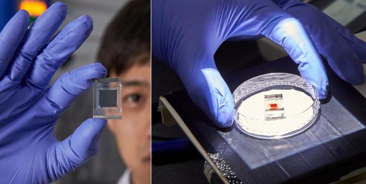 Lead-free Perovskite Flim