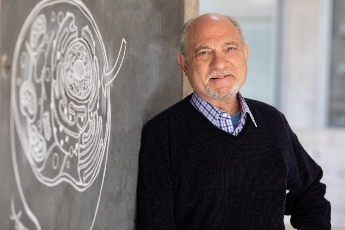 Geoffrey Wahl, Salk Institute