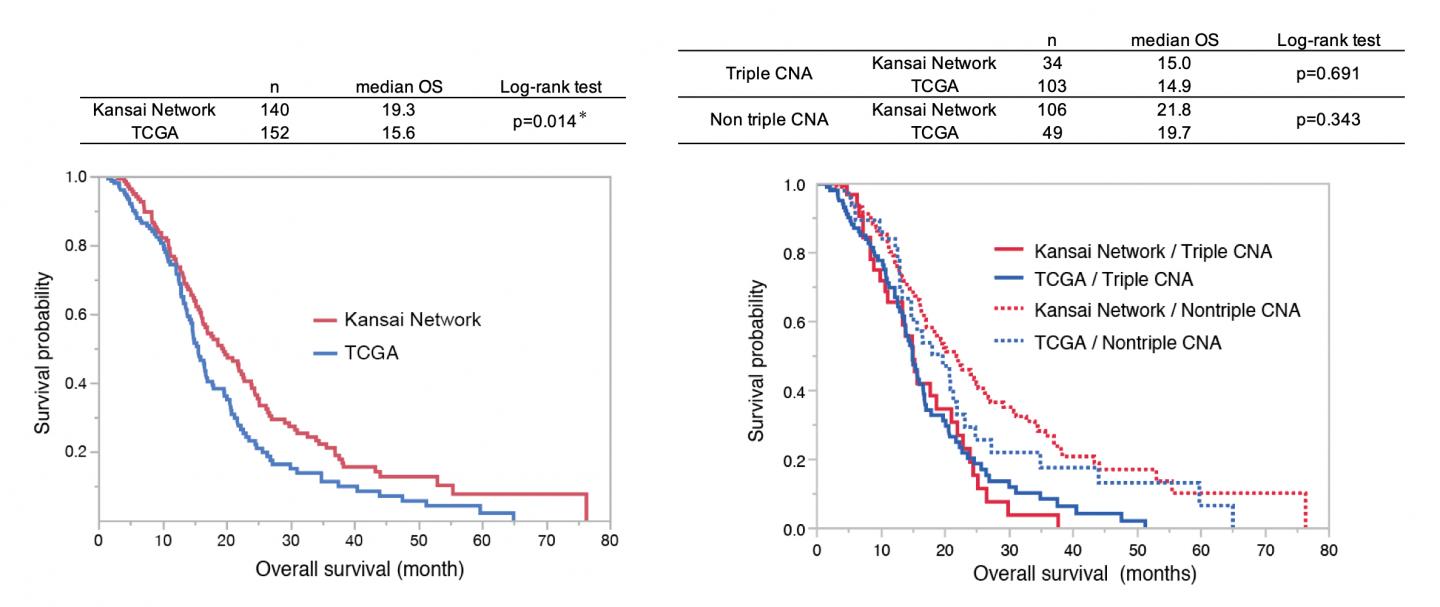 Kaplan-Meier Analysis
