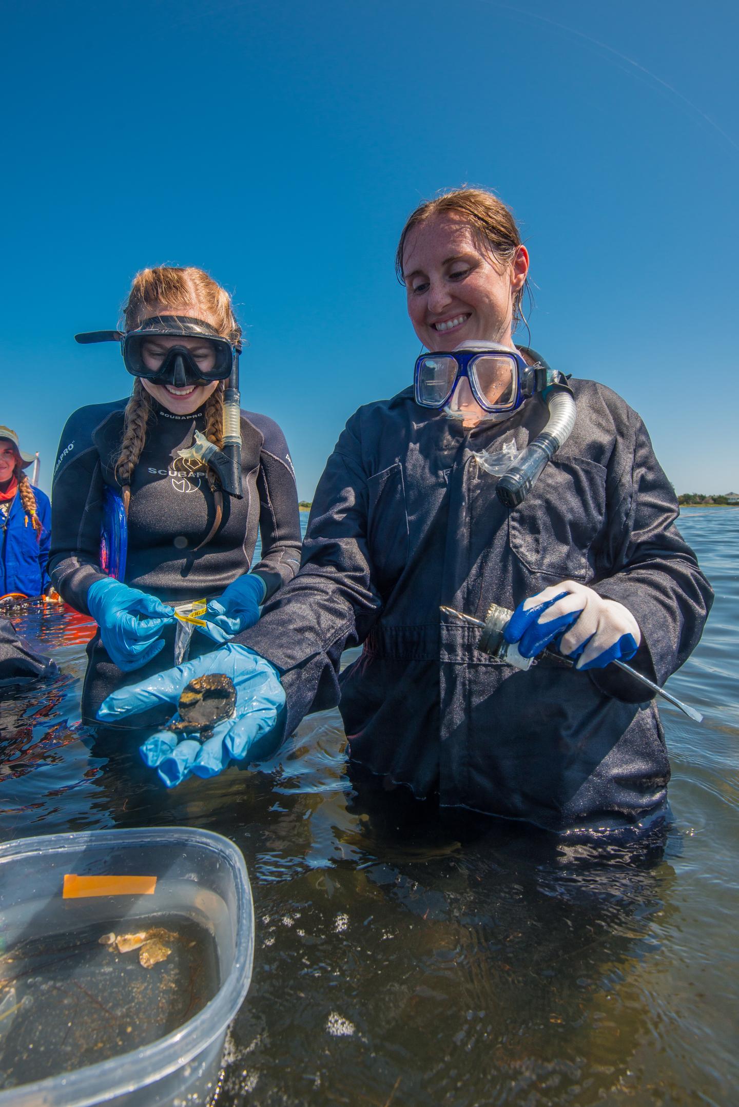 Fieldwork on the wreck