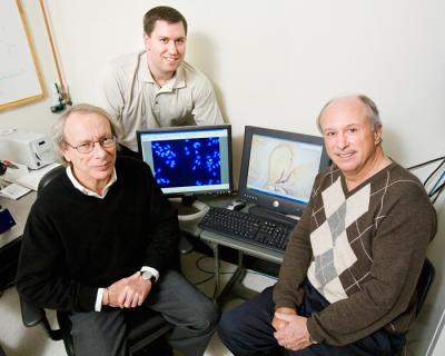 Dantzer, O'Connor, Kelley, University of Illinois at Urbana-Champaign