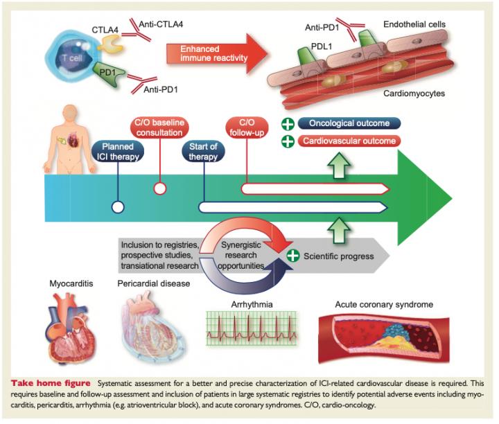 Cancer Patients Receiving Immu [IMAGE] | EurekAlert! Science News Releases