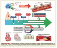 Cancer patients receiving immunotherapy drugs have a higher risk of heart problems