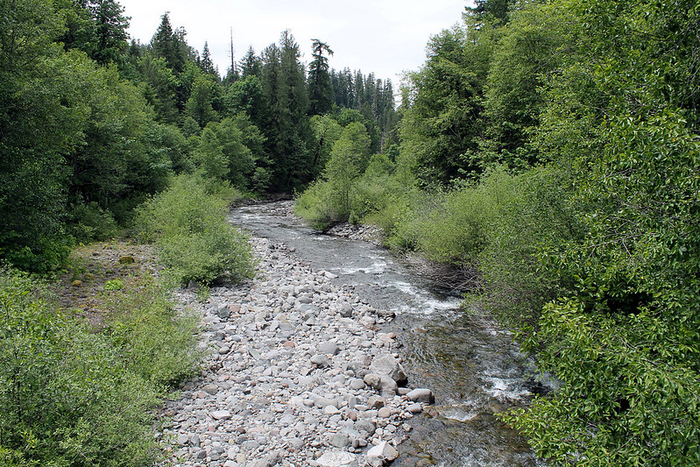 Lookout Creek