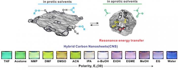 Hybrid Carbon Nanostructures (2 of 3)