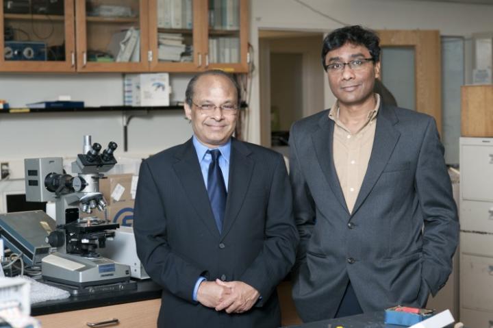 Srinivas Sridhar and Swastik Kar, Northeastern University