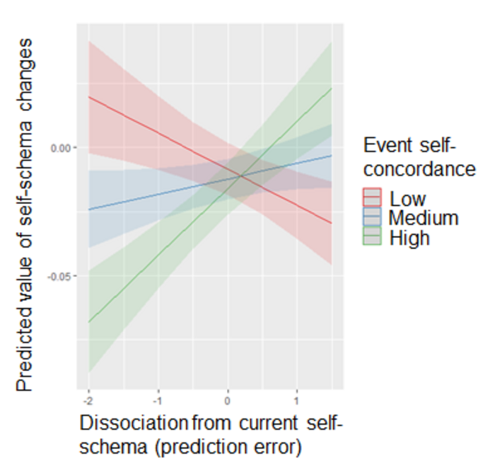 Self-Schema changes in the experiment