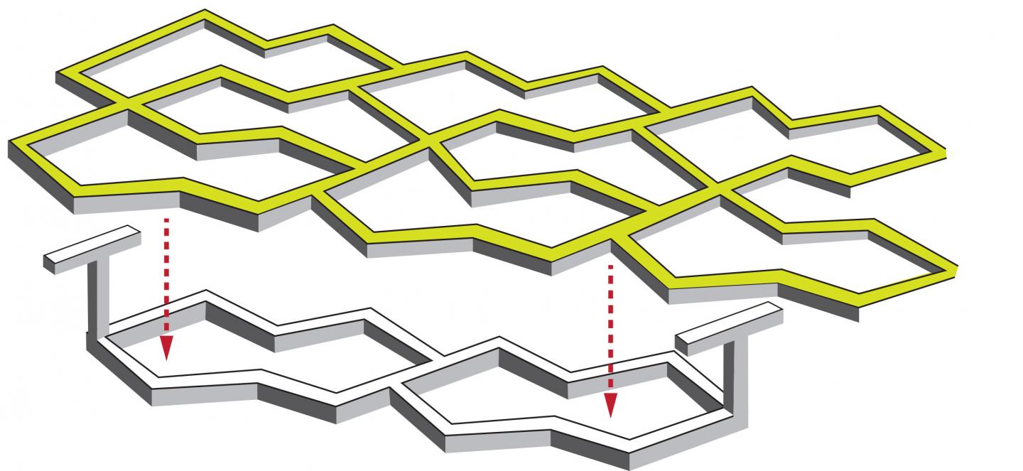 Tissue Velcro (2 of 2)