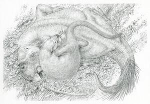 Artwork - mammal dino encounter