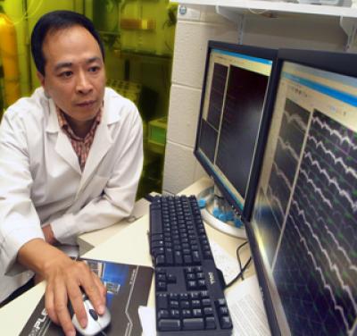 Memories Selectively, Safely Rrased in Mice