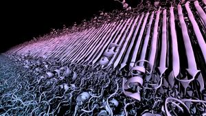 Visualization of a clump of huntington protein