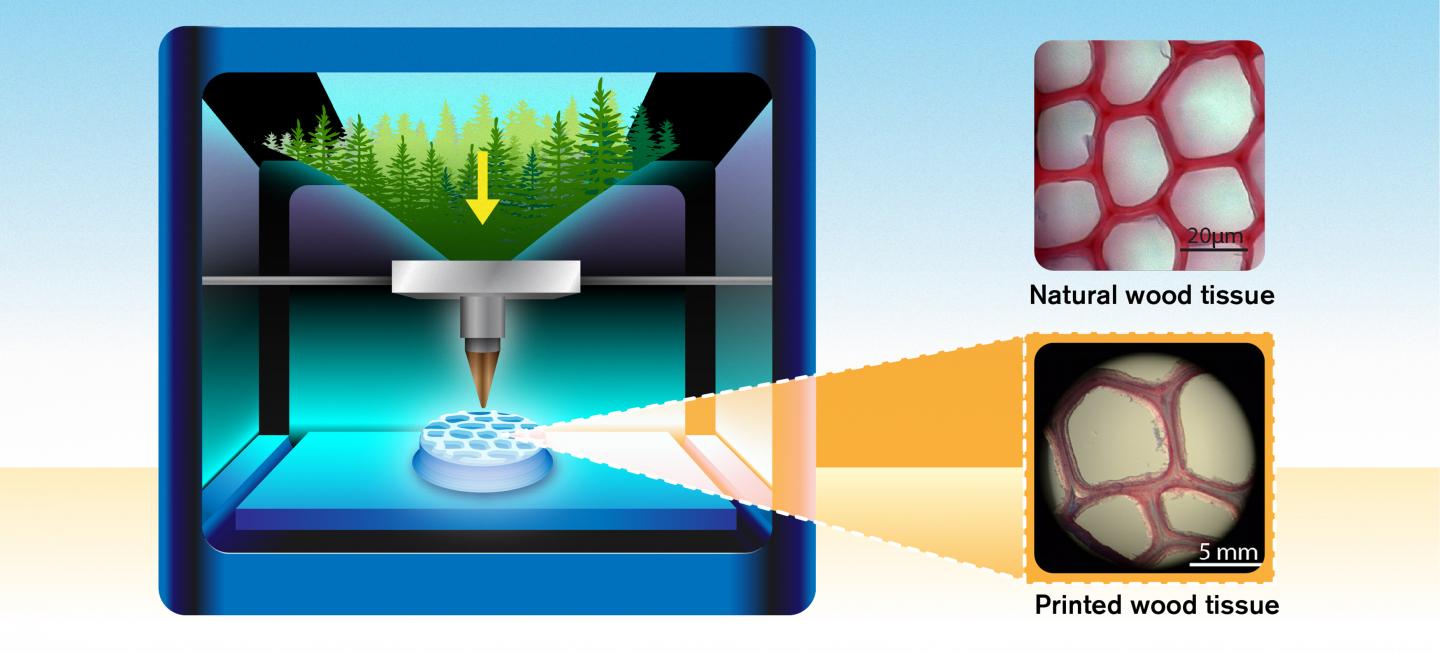 3D Printing the Ultrastructure of Wood