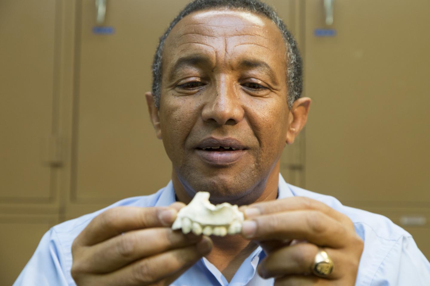 Yohannes Haile-Selassie, Cleveland Museum of Natural History