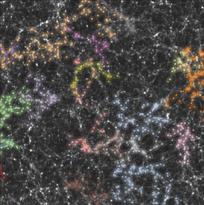 Section of the Universe (black and white) with dark matter and associated large-scale structures (color).sociated