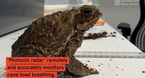 Testing photonic radar to monitor cane toad breathing