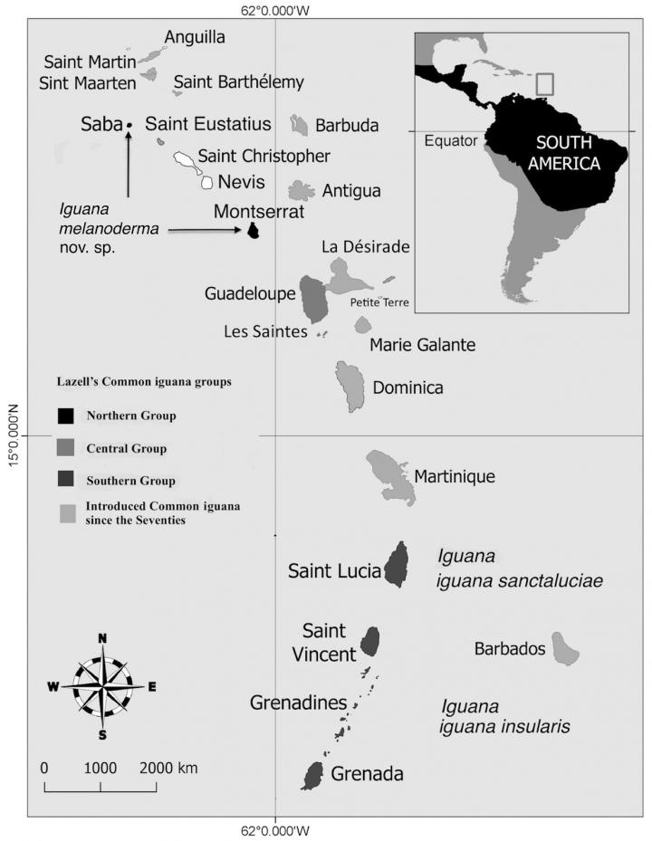 Geographical Distribution of the Three Iguana Groups