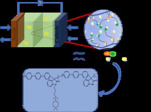 Schematic application of AEM with multiple cationic side alkyl chains