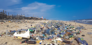 Plastic pollution litters a beach in Ghana.