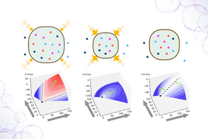 The Thermodynamics of Life taking Shape