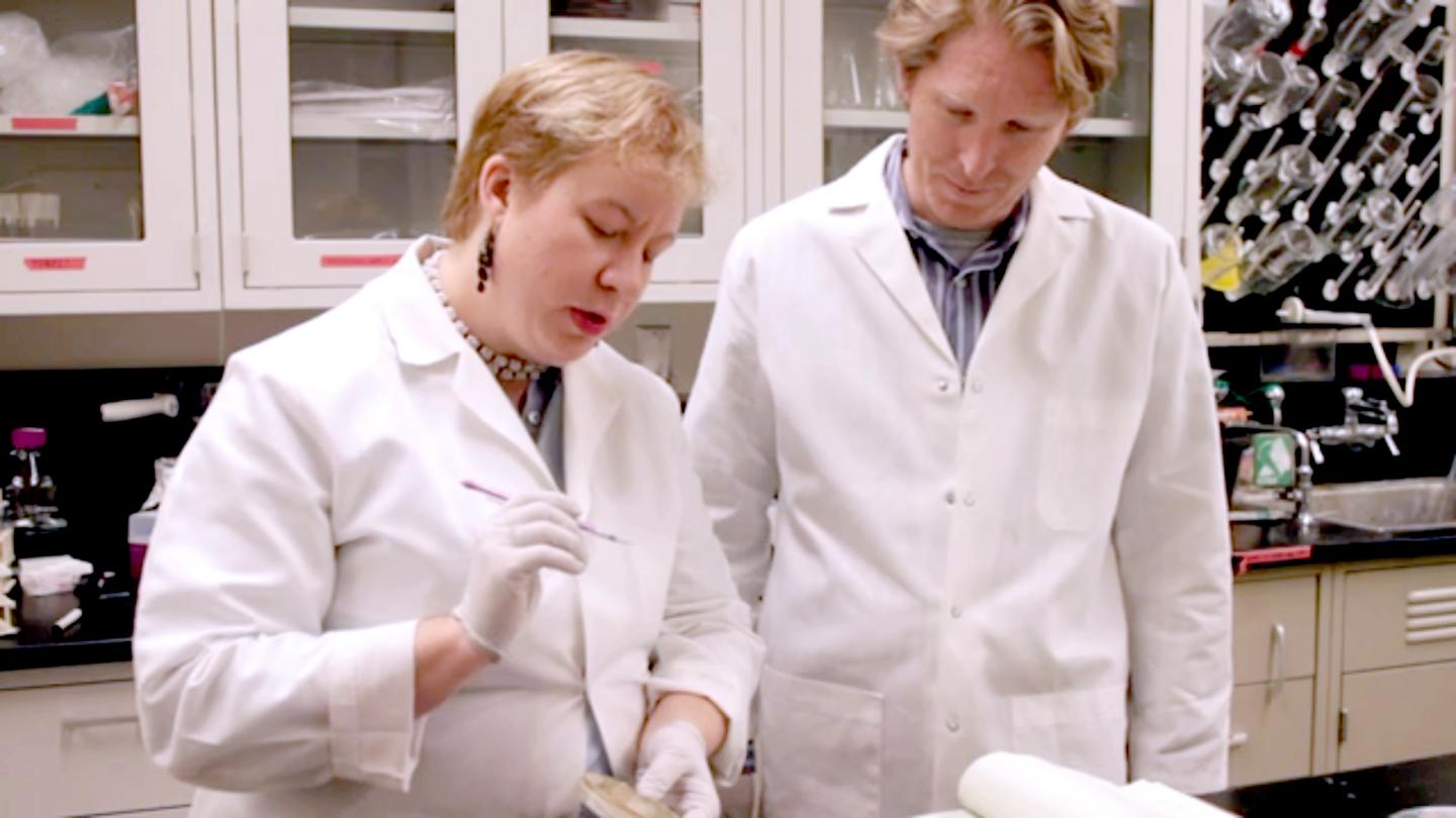 Vernita Gordon, University of Texas at Austin