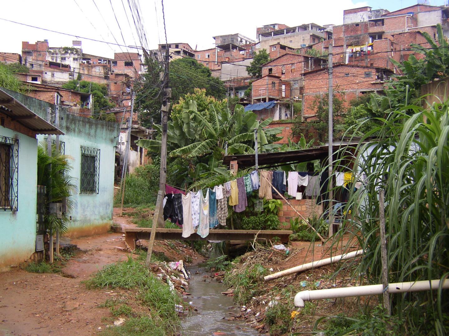 The Protective Role of Dengue Immunity on Zika Infection in a Brazilian Favela (1 of 3)