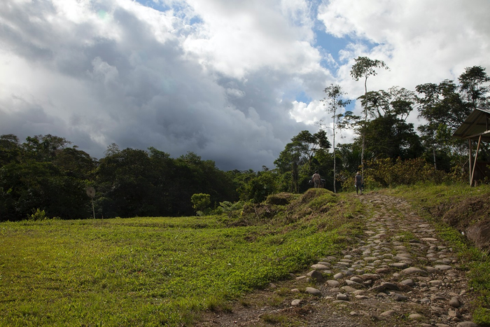 Deforestation in the past years in western Amazon is linked to warming of local climate