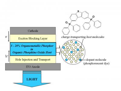 Organic Light-Emitting Device (OLED) Structure