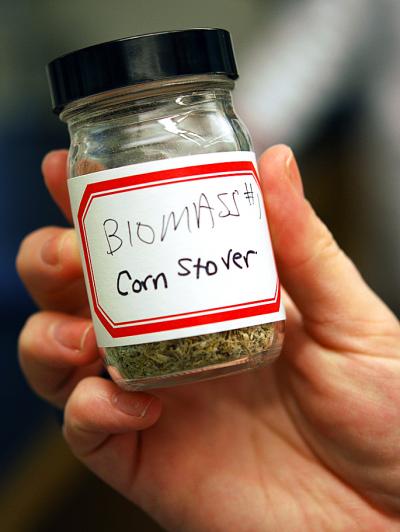 Breaking Down Cellulose