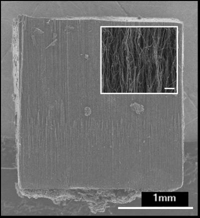 Nanotube Block -- Before Compression