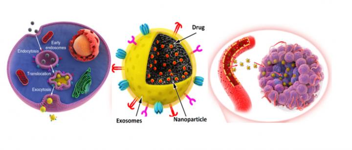 Exosome-Biomimetic Nanoparticles to Act as Drug Carriers