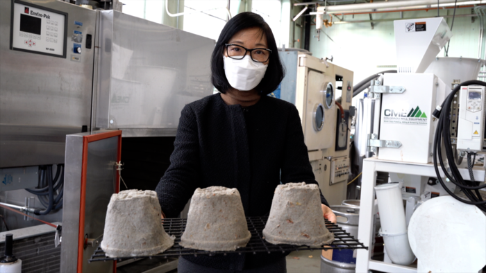 Pulp Packaging Product