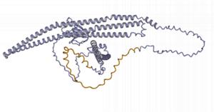 Structure of one of the 813 genes identified in the study