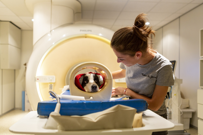 Dog before fMRI with trainer