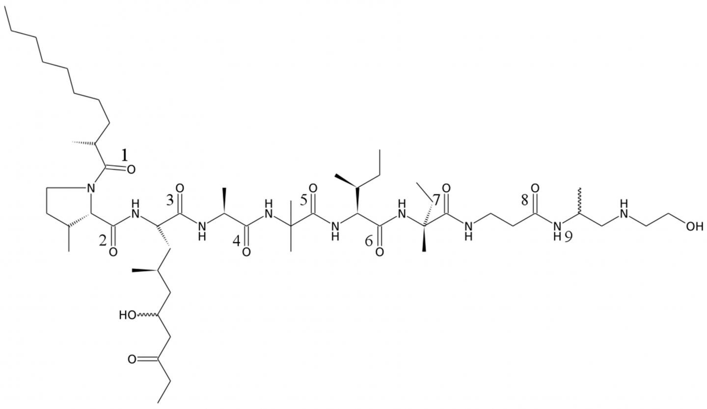The Structure of Emericellipsin A