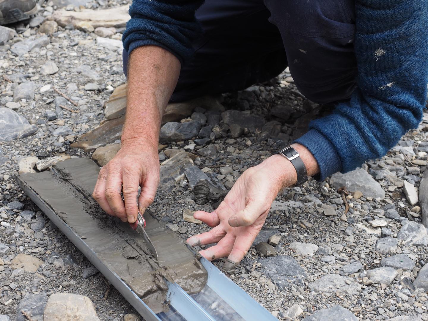 Lake Sediments from Lake Oeschinen, Switzerland