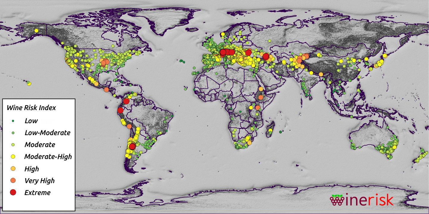 Winemakers Lose Billions of Dollars Every Year due to Natural Disasters (1 of 3)