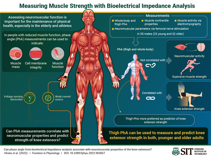 Bioelectrical Impedance Analysis: Definition and Tips