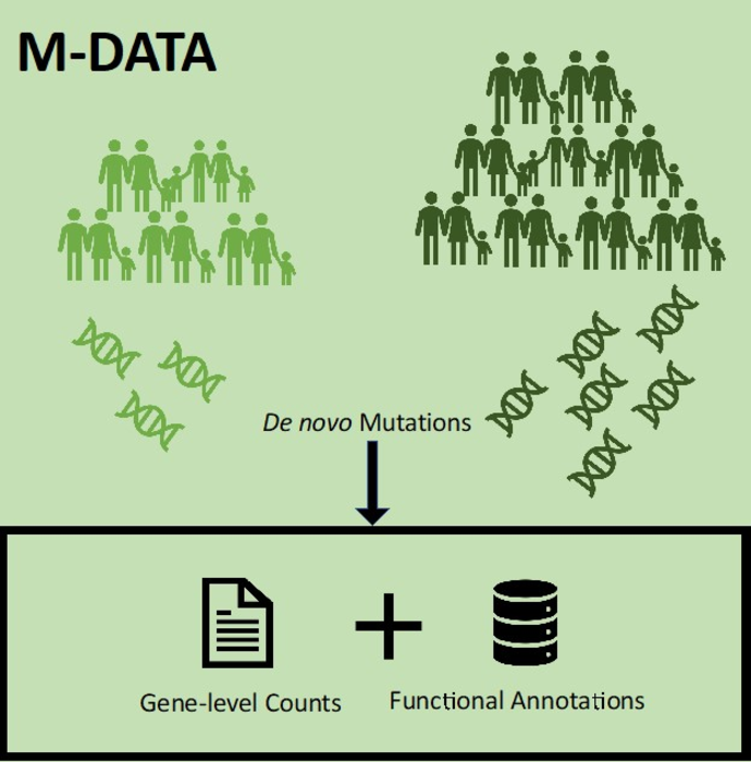 Genetic study of heart defects and autism finds new causative genes