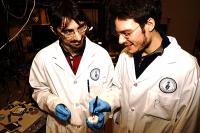 Engineers Valerio Adinolfi (Left) and Riccardo Comin Examine a Perovskite Crystal