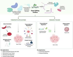 Graphical abstract