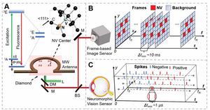 Figure 1 [IMAGE] | EurekAlert! Science News Releases