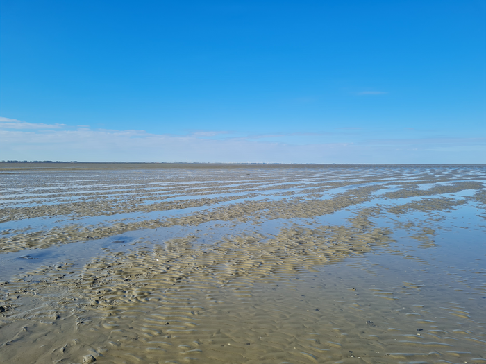 A tidal sandflat [IMAGE] | EurekAlert! Science News Releases