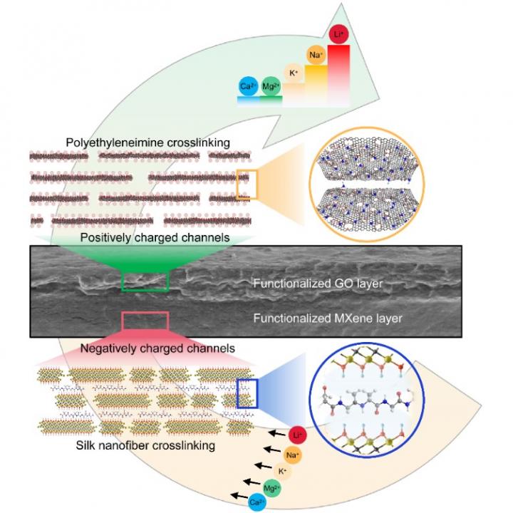 Metal ion sieving using a bioinspired nanochannel membrane