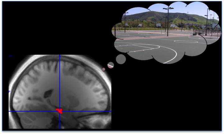 High-Reward Memories Prioritized by Replay