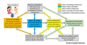 Cognitive processes in action value calculator model