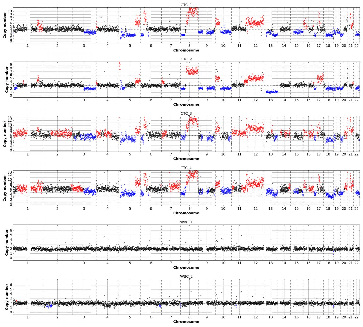 Copy Number Profiles from CTCs and WBCs of a Patient Affected by Lung Adenocarcinoma
