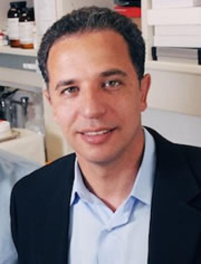 Dr. Hesham Sadek, UT Southwestern Medical Center 