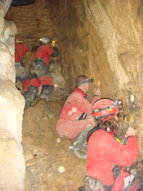 Authors on <i>Zospeum</i> Hunt