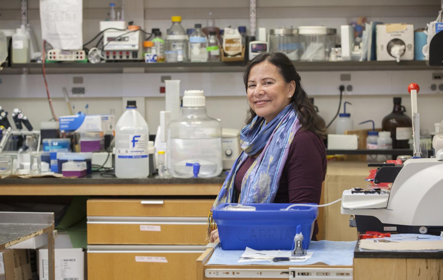 Anonieta Lavin, Medical University of South Carolina