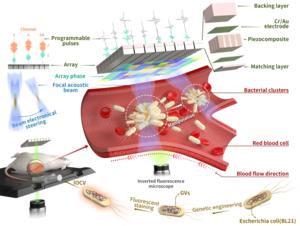 Setup diagram for in vivo manipulation of cells using PAHAT